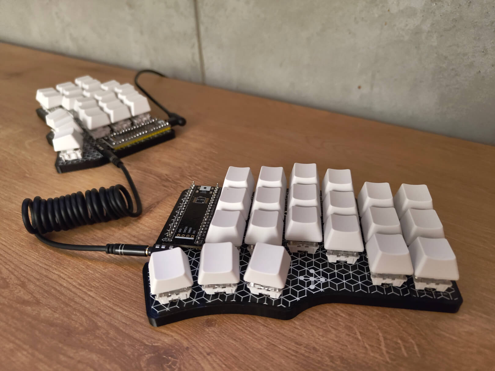 Фотография Cantor MX.